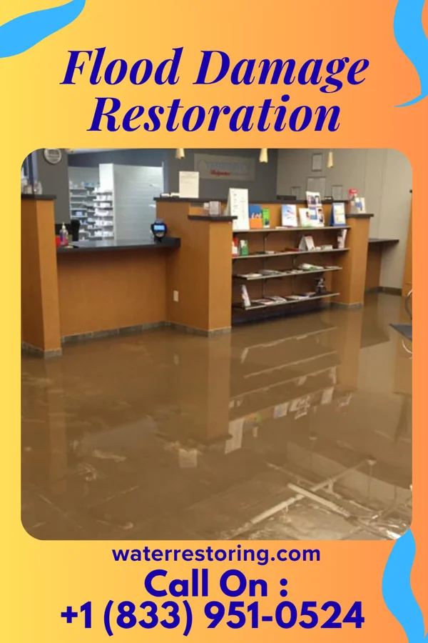 Flood Damage Restoration in Green Oaks, IL
