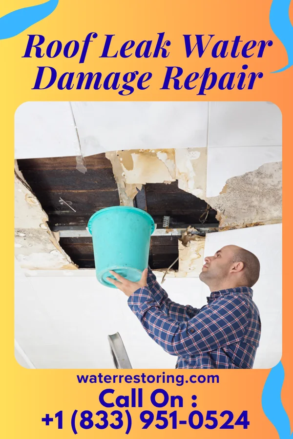 Roof Leak Water Damage Repair in Green Oaks, IL