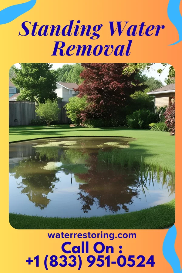 Standing Water Removal in Green Oaks, IL